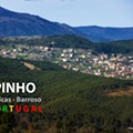 1600-Pinho desde Vilarinho VPA.jpg